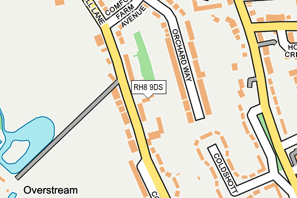 RH8 9DS map - OS OpenMap – Local (Ordnance Survey)