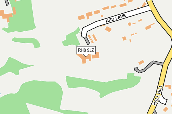 RH8 9JZ map - OS OpenMap – Local (Ordnance Survey)