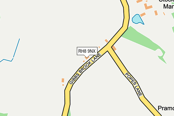 RH8 9NX map - OS OpenMap – Local (Ordnance Survey)