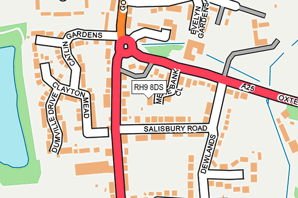 RH9 8DS map - OS OpenMap – Local (Ordnance Survey)