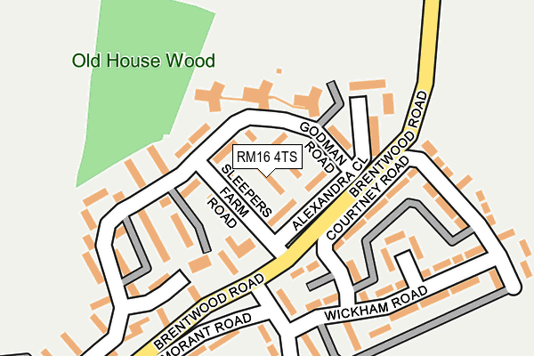 RM16 4TS map - OS OpenMap – Local (Ordnance Survey)