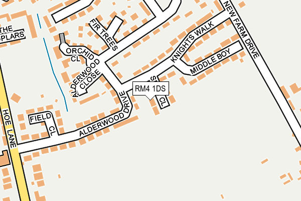 RM4 1DS map - OS OpenMap – Local (Ordnance Survey)