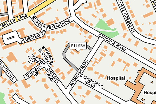 S11 9BH map - OS OpenMap – Local (Ordnance Survey)