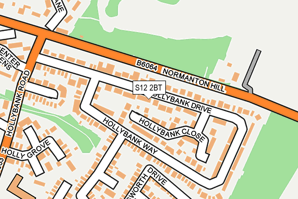 S12 2BT map - OS OpenMap – Local (Ordnance Survey)