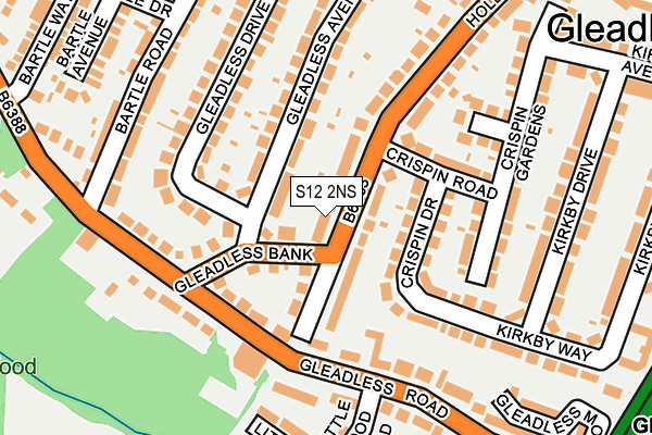 S12 2NS map - OS OpenMap – Local (Ordnance Survey)