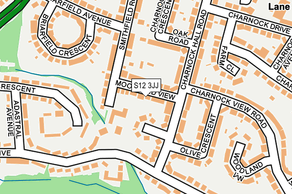 S12 3JJ map - OS OpenMap – Local (Ordnance Survey)