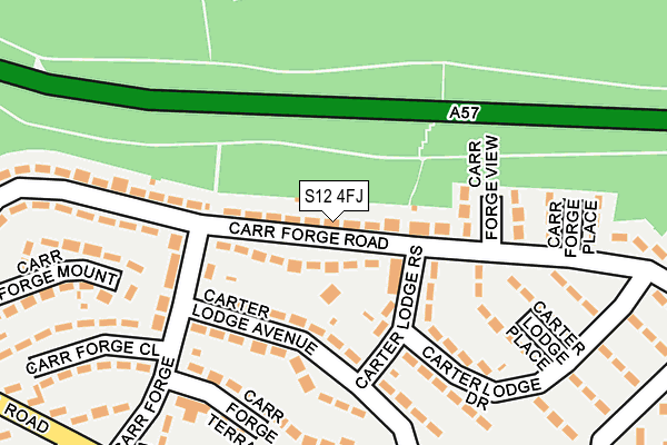 S12 4FJ map - OS OpenMap – Local (Ordnance Survey)