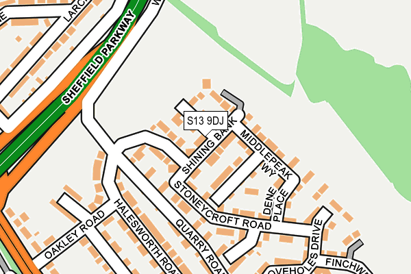 S13 9DJ map - OS OpenMap – Local (Ordnance Survey)