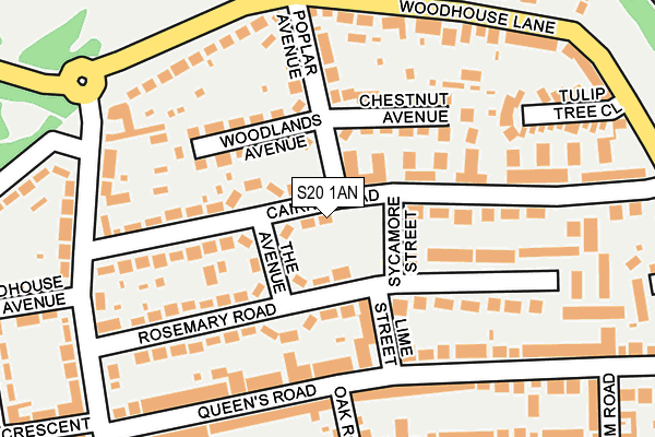 S20 1AN map - OS OpenMap – Local (Ordnance Survey)