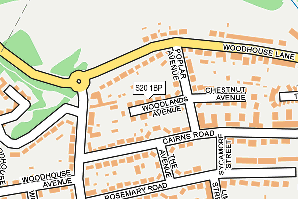 S20 1BP map - OS OpenMap – Local (Ordnance Survey)