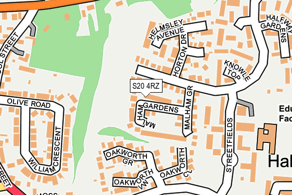 S20 4RZ map - OS OpenMap – Local (Ordnance Survey)