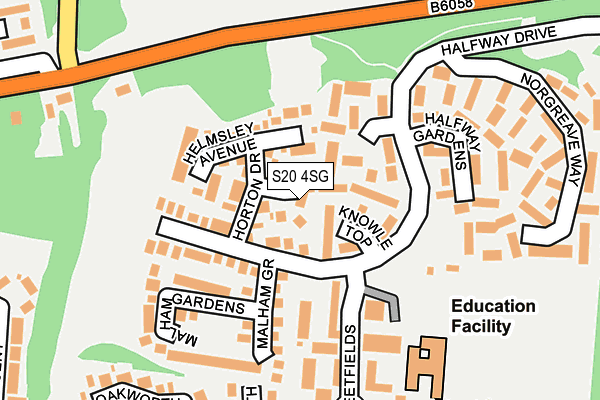 S20 4SG map - OS OpenMap – Local (Ordnance Survey)