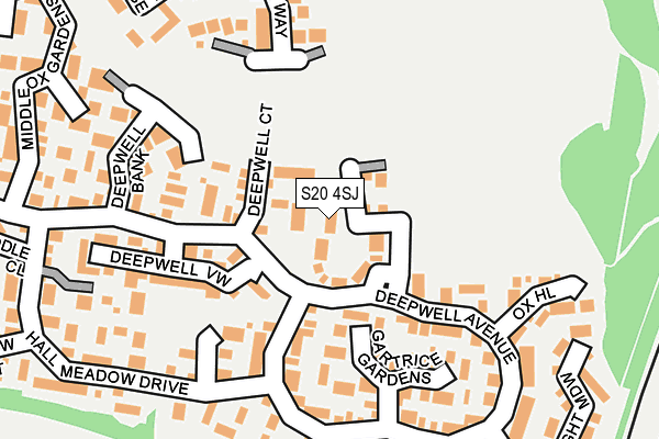 S20 4SJ map - OS OpenMap – Local (Ordnance Survey)