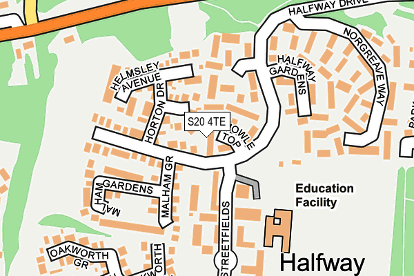 S20 4TE map - OS OpenMap – Local (Ordnance Survey)