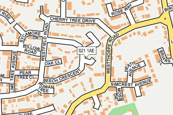 S21 1AE map - OS OpenMap – Local (Ordnance Survey)