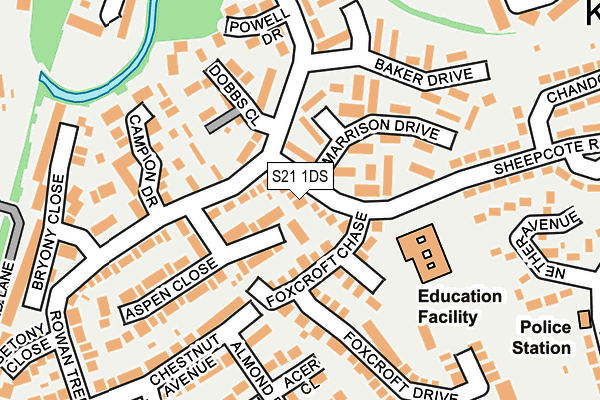 S21 1DS map - OS OpenMap – Local (Ordnance Survey)