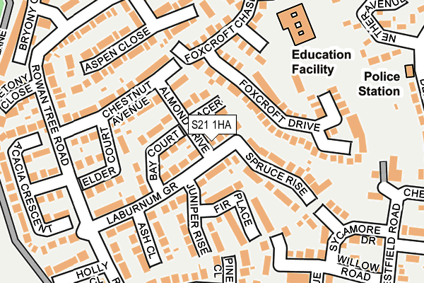 S21 1HA map - OS OpenMap – Local (Ordnance Survey)