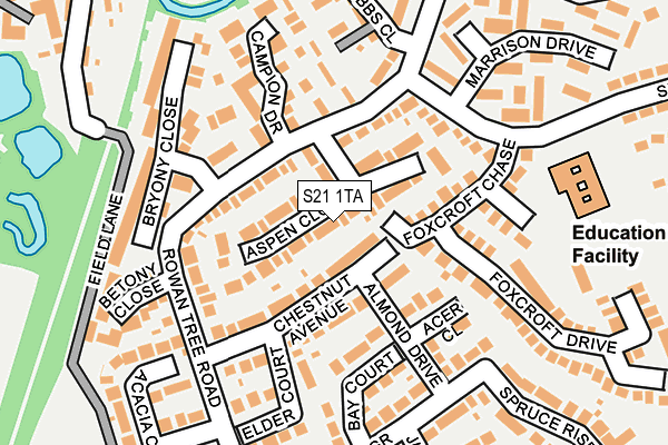 S21 1TA map - OS OpenMap – Local (Ordnance Survey)