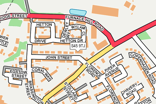 S45 9TJ map - OS OpenMap – Local (Ordnance Survey)