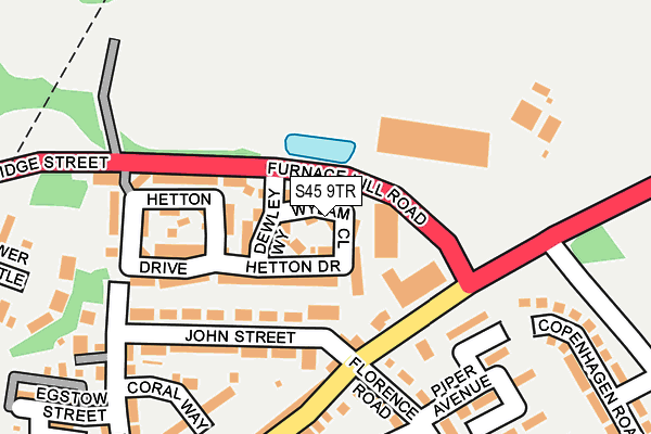 S45 9TR map - OS OpenMap – Local (Ordnance Survey)