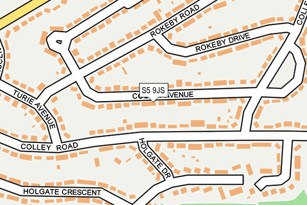 S5 9JS map - OS OpenMap – Local (Ordnance Survey)