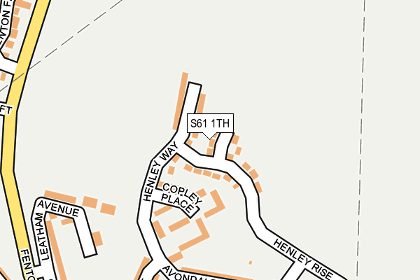 S61 1TH map - OS OpenMap – Local (Ordnance Survey)