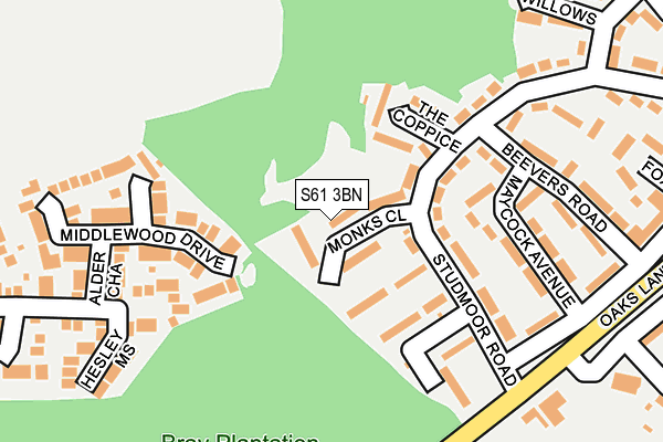 S61 3BN map - OS OpenMap – Local (Ordnance Survey)