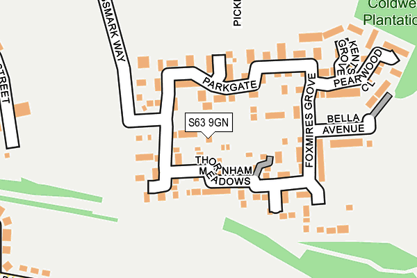 S63 9GN map - OS OpenMap – Local (Ordnance Survey)