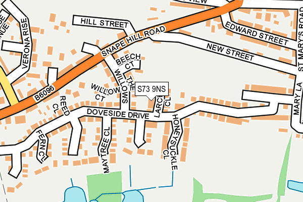 S73 9NS map - OS OpenMap – Local (Ordnance Survey)