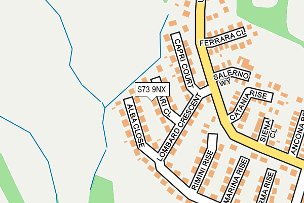 S73 9NX map - OS OpenMap – Local (Ordnance Survey)