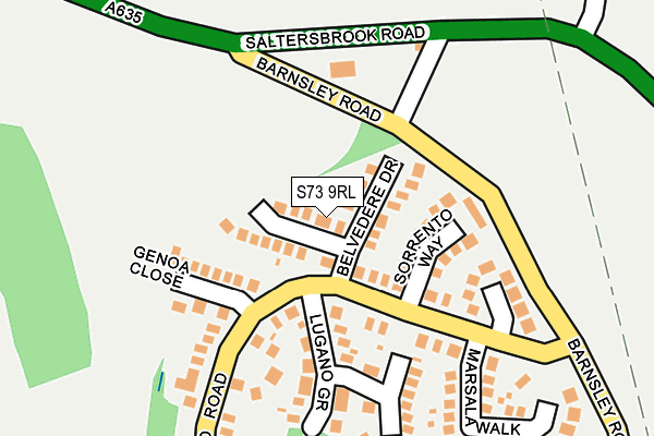 S73 9RL map - OS OpenMap – Local (Ordnance Survey)