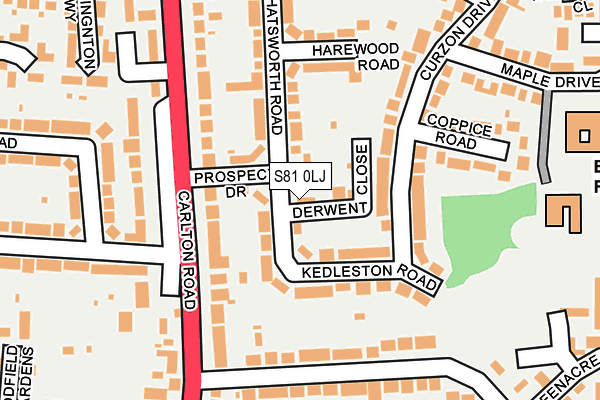S81 0LJ map - OS OpenMap – Local (Ordnance Survey)