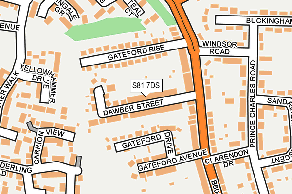 S81 7DS map - OS OpenMap – Local (Ordnance Survey)