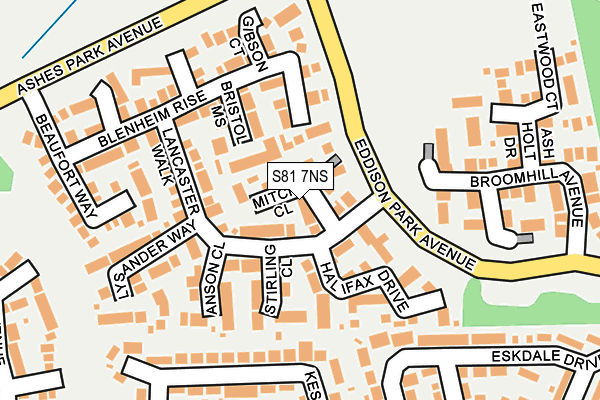 S81 7NS map - OS OpenMap – Local (Ordnance Survey)