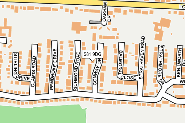 S81 9DG map - OS OpenMap – Local (Ordnance Survey)