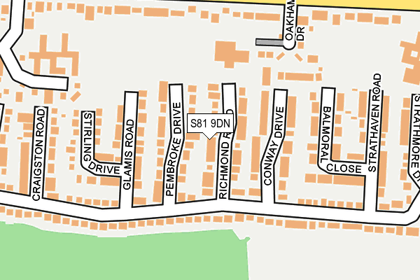 S81 9DN map - OS OpenMap – Local (Ordnance Survey)