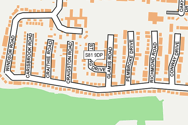 S81 9DP map - OS OpenMap – Local (Ordnance Survey)