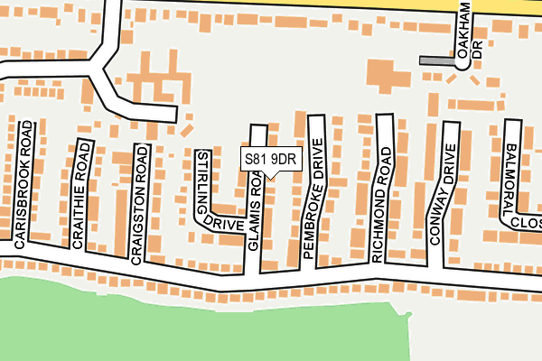 S81 9DR map - OS OpenMap – Local (Ordnance Survey)