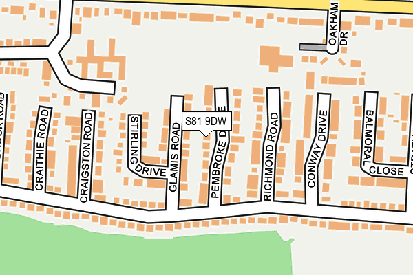 S81 9DW map - OS OpenMap – Local (Ordnance Survey)