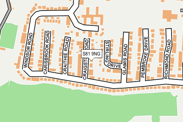 S81 9NG map - OS OpenMap – Local (Ordnance Survey)