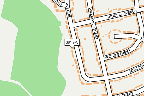 S81 9PJ map - OS OpenMap – Local (Ordnance Survey)