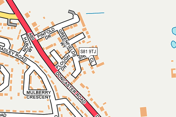 S81 9TJ map - OS OpenMap – Local (Ordnance Survey)