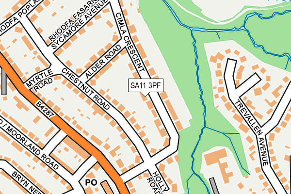 SA11 3PF map - OS OpenMap – Local (Ordnance Survey)