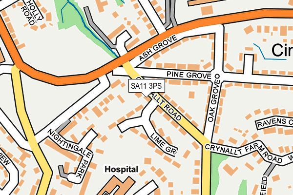 SA11 3PS map - OS OpenMap – Local (Ordnance Survey)