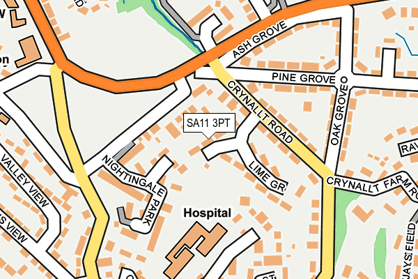 SA11 3PT map - OS OpenMap – Local (Ordnance Survey)