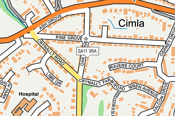SA11 3RA map - OS OpenMap – Local (Ordnance Survey)