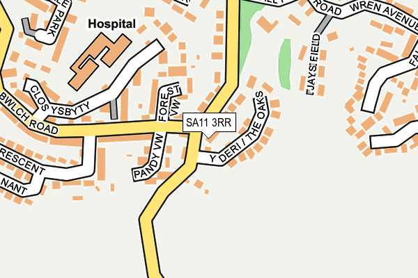 SA11 3RR map - OS OpenMap – Local (Ordnance Survey)