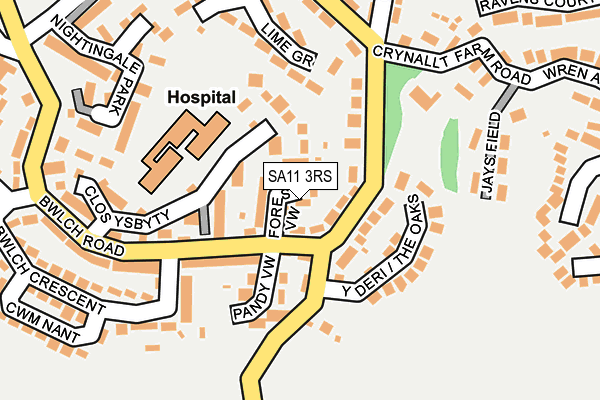 SA11 3RS map - OS OpenMap – Local (Ordnance Survey)