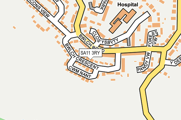SA11 3RY map - OS OpenMap – Local (Ordnance Survey)