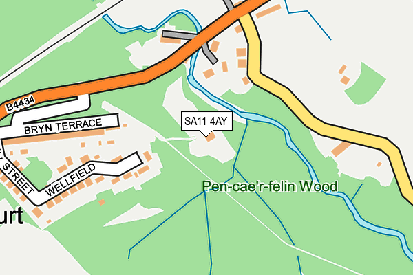 SA11 4AY map - OS OpenMap – Local (Ordnance Survey)